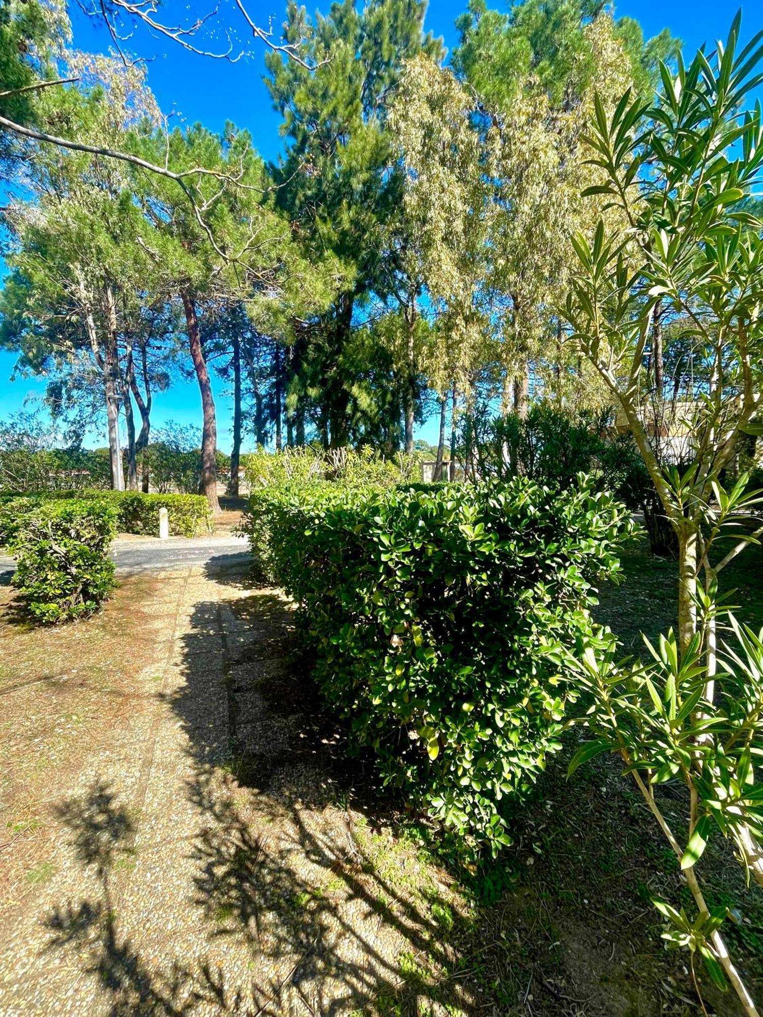 Appart Clim , Wifi, Plage 200 Metres Argeles-sur-Mer Exterior photo